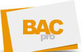 Bac professionnel Services aux personnes et aux territoires